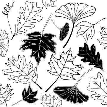Autumn leaf hand drawn doodle illustration 库存插图