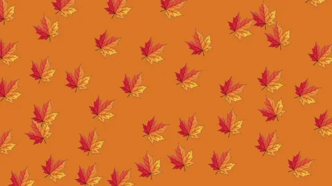 Autumn leaf icon, pattern motion orange background Stock-Footage 326717845