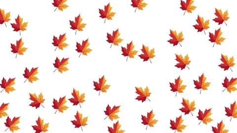 Autumn leaf icon, pattern motion wihitebackground  Stock Footage 326717855