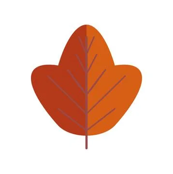 Autumn leaf icon representing fall season changes Stock Illustration
