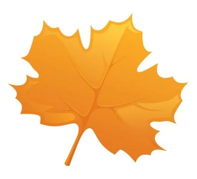 Autumn leaf Stock Illustration