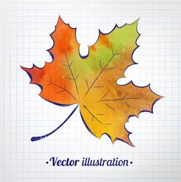Autumn leaf Stock Illustration