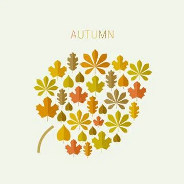 Autumn leaf Stock Illustration