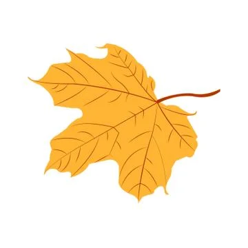 Autumn leaf Stock Illustration