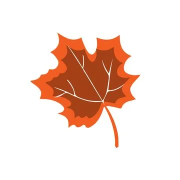 Autumn leaf Stock Illustration