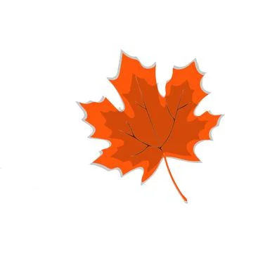 Autumn leaf Stock Illustration