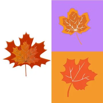 Autumn leaf Stock Illustration
