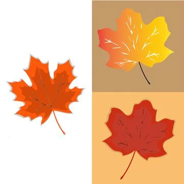 Autumn leaf Stock Illustration