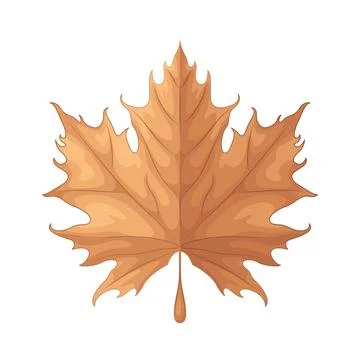 Autumn leaf Illustrazione stock