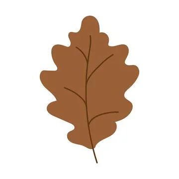 Autumn Leaf isolated. Fall oak part . Decorative botanical hand drawn clipart Stock Illustration