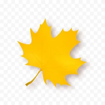 Autumn Leaf Isolated. Vector Yellow leaf Stock Illustration