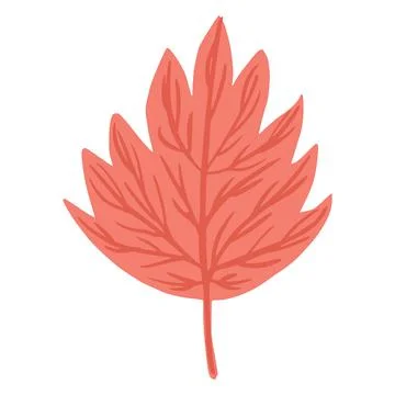 Autumn leaf isolated on white background. Scandinavian botanical drawing. Stock Illustration