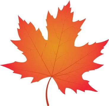 Autumn leaf isolated on a white background. Vector illustration Stock Illustration