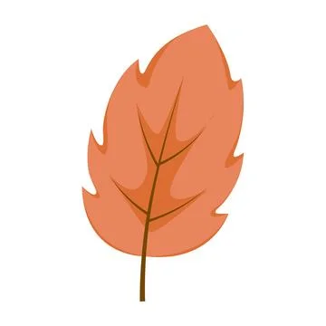 Autumn leaf isolated on white background Illustrazione stock