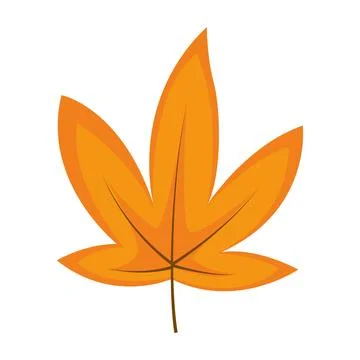 Autumn leaf isolated on white background Stock Illustration