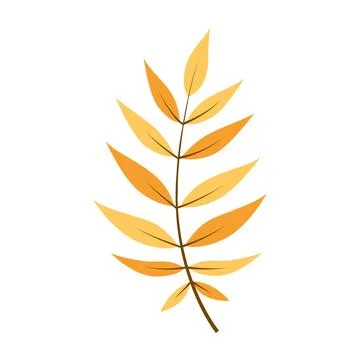 Autumn leaf isolated on white Illustrazione stock