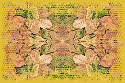 Autumn leaf kaleidoscope pattern as abstract nature background. Illustrazione stock