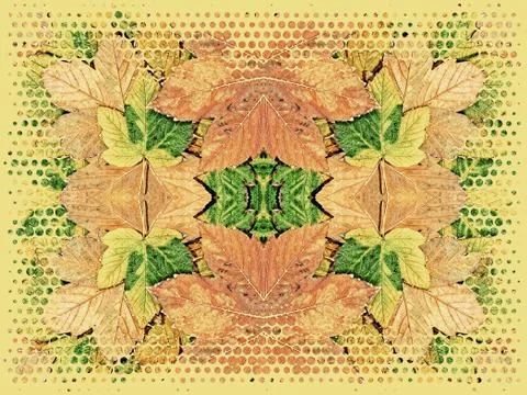 Autumn leaf kaleidoscope pattern as abstract nature background. Illustrazione stock