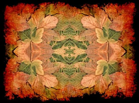 Autumn leaf kaleidoscope pattern as abstract background. Stock Photos