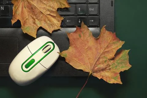 Autumn Leaf On Laptop 库存照片