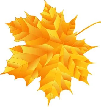 Autumn leaf leaves. Fall leaves maple, oak.Natural colorful illustration on.. Stock Illustration