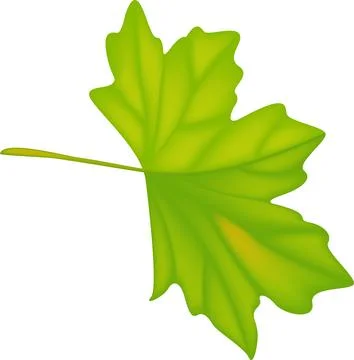 Autumn leaf leaves. Fall leaves maple, oak.Natural colorful illustration on.. Stock Illustration