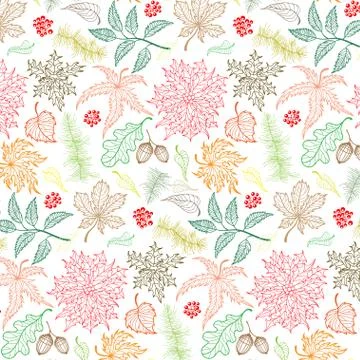 Autumn leaf maple. Stock Illustration