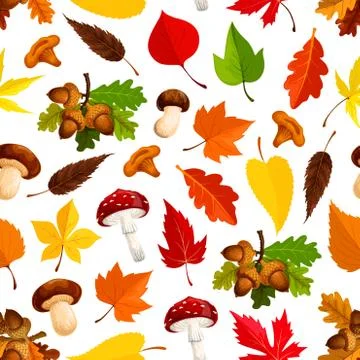 Autumn leaf, mushroom seamless pattern background Illustrazione stock