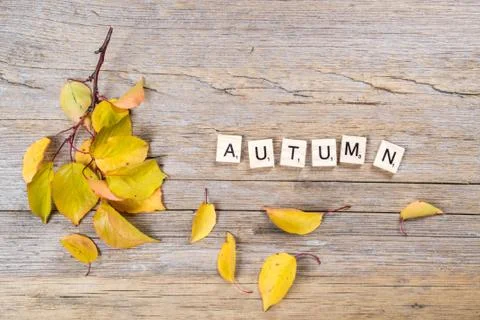 Autumn leaf on old rustic board with inscription "autumn". Fall concept Foto stock
