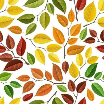 Autumn leaf pattern Stock Illustration