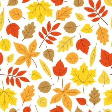 Autumn leaf pattern on white background Stock Illustration