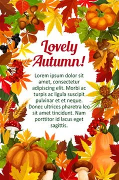 Autumn leaf poster template with fall nature frame Stock Illustration