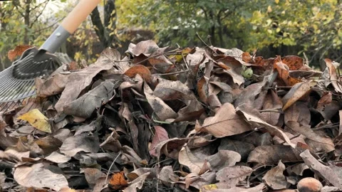 Autumn Leaf Raking in Rubber Boots Stock Footage 255673152