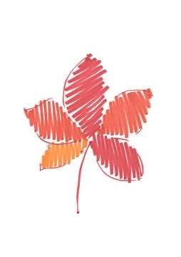 Autumn leaf, red oak leaf, chestnut leaf, hand-drawn with felt-tip pen on a Stock Illustration