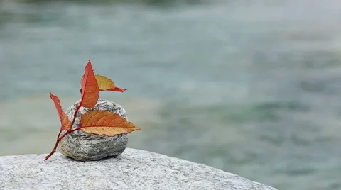Autumn leaf resting on a rock. Stock Footage 68660176