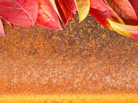 Autumn leaf on rust metall background Stock Photos