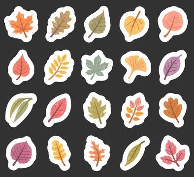 Autumn leaf set featuring plant foliage nature Stock Illustration