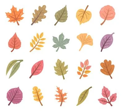 Autumn leaf set featuring plant foliage nature Ilustração Stock