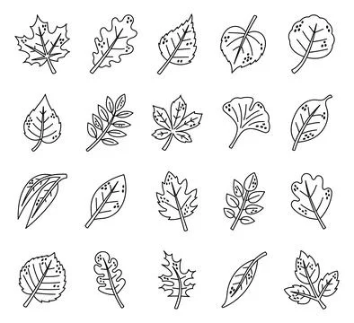 Autumn leaf set featuring plant foliage nature Ilustração Stock