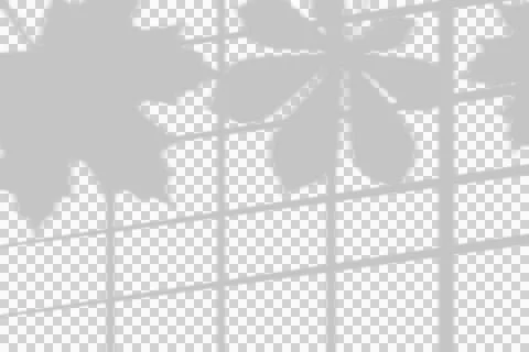 Autumn leaf shadows cast on a grid window frame overlay for creative graphic. Stock Illustration