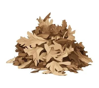 Autumn leaf shape, isolated on white background Stock Illustration