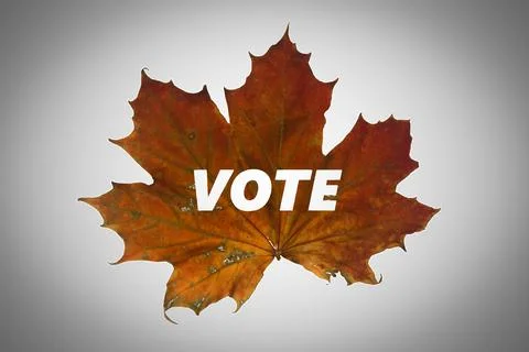 Autumn leaf in a shape vote demonstrating Environmental election concept. 3D Stock-Illustration
