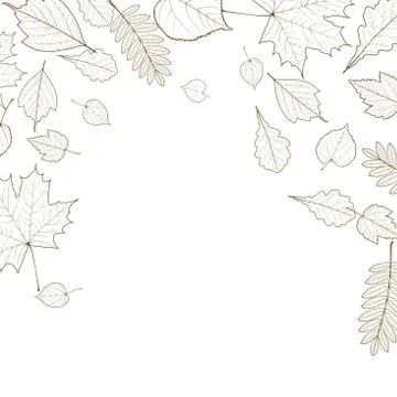 Autumn leaf skeletons template. Stock Illustration