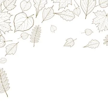 Autumn leaf skeletons template. Stock Illustration