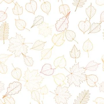 Autumn leaf skeletons template. Stock Illustration