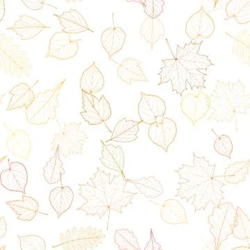 Autumn leaf skeletons template. Stock Illustration