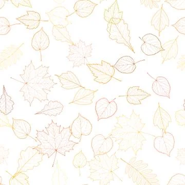 Autumn leaf skeletons template. Stock Illustration