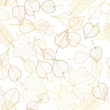Autumn leaf skeletons template. Stock Illustration