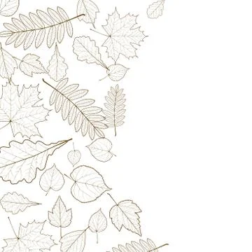 Autumn leaf skeletons template. Stock Illustration