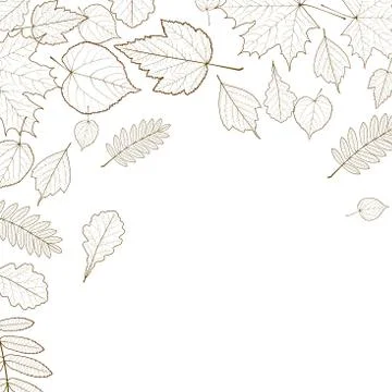Autumn leaf skeletons template. Stock Illustration